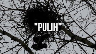 BUKTU  Pulih Official Lyric Video [upl. by Adaran]