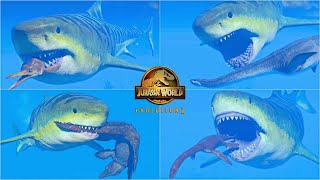 MEGALODON HUNTING ANIMATIONS VS ALL MARINE REPTILES  JURASSIC WORLD EVOLUTION 2 [upl. by Finer381]