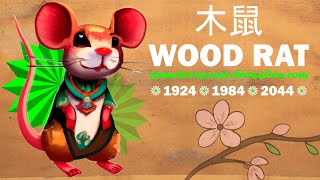 WOOD RAT PERSONALITY  木鼠  Chinese Astrology  Love Facts Strength Weaknesses of Rat Sign [upl. by Penelope736]