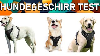 ᐅ Hundegeschirr Test 2023  Beste Hundegeschirre [upl. by Forcier]