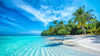 Beautiful Relaxing Music  Stop Overthinking Mind Calm Serene Seascapes for Ultimate Relaxation [upl. by Aetnuahs]