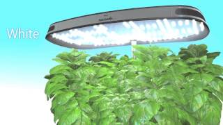 How the AeroGarden Works [upl. by Fairman]