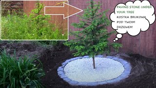 Garden Design 132 🌲 Klomb pod drzewem Kostka Brukowa 🌲 Paving Tree Ring To Go Around Your Tree 🌲 [upl. by Ettenoj]