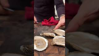 HOW TO MAKE Baked Oysters [upl. by Munniks33]