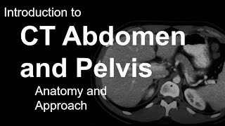 Introduction to CT Abdomen and Pelvis Anatomy and Approach [upl. by Tnilf]