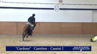 108 Cardozo v Caretino  Cassini I [upl. by Ainitsirc996]