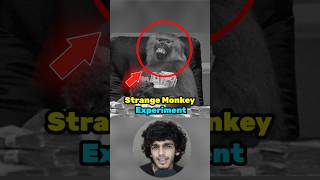 Untold Monkey Experiment 💀 shorts facts gkinhindi gk ssc upsc story storytime factsinhindi [upl. by Coad]