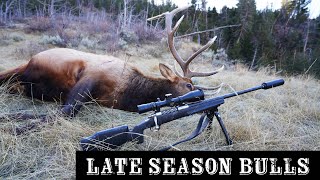 Late Season Bull Elk Hunting Two Bulls Down S4Ep4 [upl. by Kataway]