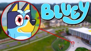 Drone Catches BLUEY HEELER From BLUEY IN REAL LIFE BINGO BANDIT amp CHILLI [upl. by Jeremie603]