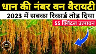 1509 paddy seeds variety details  1509 dhan ki kheti kaise kare  pusa basmati paddy seeds price [upl. by Marris]