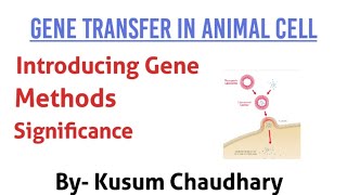 Gene Transfer in Animal Cells  Methods Importance  BSc  MSc  Kusum Chaudhary [upl. by Airat]