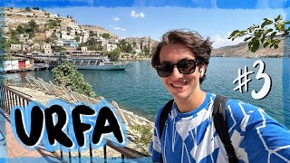 Urfa’nın en güzel semti ESKİ HALFETİ VLOG 340 [upl. by Daly465]