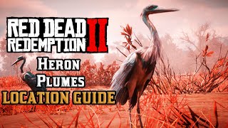 Red Dead Redemption 2 Best Exotic Bird Plume locations for Duchesses and other animals mission RDR2 [upl. by Hallsy]