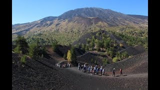 Where to go in Sicily Mt Etna Volcano and Sicily wine tours in your Sicily vacations [upl. by Yenahs]