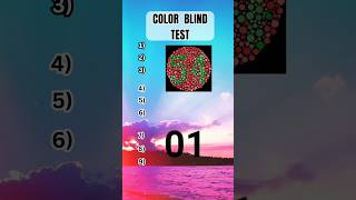 COLOR BLIND TEST  Colour Vision Test colorblind colorblindness colourvision colors test quiz [upl. by Natan]