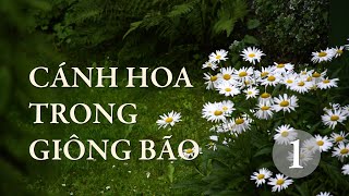 Cánh hoa trong giông bão  Tập một [upl. by Haimehen]