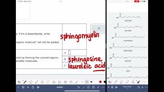 ALEKS Identifying the parts of a sphingomyelin [upl. by Arlo400]