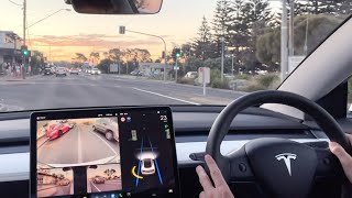 Real world example of how we use Tesla Autopilot [upl. by Tnerual]