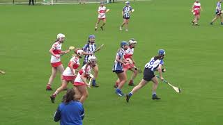 Whitehall Colmcille vs Ballyboden St Endas 20 09 2020 [upl. by Kevan900]