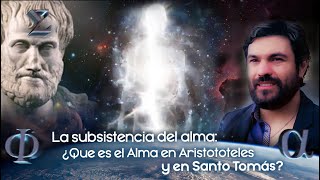 ¿Qué es el alma según Aristóteles y Santo Tomás [upl. by Barimah723]