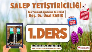 Salep Yetiştiriciliği 1Ders [upl. by Forlini]