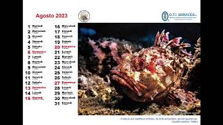 Calendario da tavolo 2023 dellAssociazione quotTegnue di Chioggiaquot [upl. by Eiramenna]