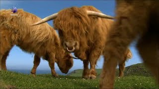 Escocia Tierras Altas e Islas Documentales online 1080P HD 1080 x 1920 [upl. by Ricoriki333]