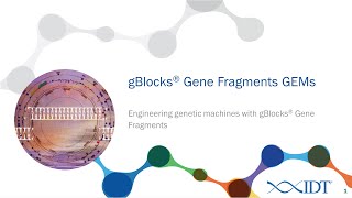 iGEM Progress Using High Quality Gene Fragments [upl. by Narad118]