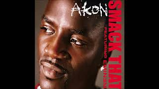 AKON Feat EMINEM  AVEC PAROLES  WITH LYRICS [upl. by Assereht]