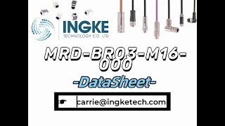 MRDBR03M16000 DataSheet  ingkechipscom [upl. by Kernan]