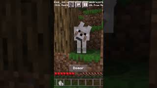 CUANDO DOMÉSTICO UN LOBO EN MÍNECRAFT [upl. by Maharba897]