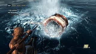 AC IV Black Flag  Harpooning Every Type Of Sharks amp Whales  PC 1080p60 [upl. by Inatirb71]