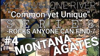 Common Yet Unique 4 How to Find Montana Agates yellowstone agate rockhounding lapidary [upl. by Nehepts]