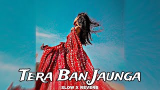 Tera Ban Jaunga Slow x Reverb LoFi 🍁 [upl. by Siletotsira208]