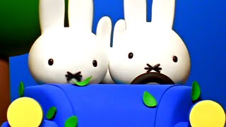 Miffy’s Family Car Trip  Miffy  Miffy and Friends [upl. by Corbie]