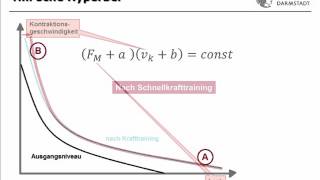 IfSTUD Wiki MUS3 KraftGeschwindigkeitsRelation [upl. by Ahsinelg]