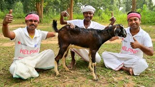 Mutton Curry Recipe  Mutton curry recipe cooking for village poor people  Helping kitchen [upl. by Aicinet]