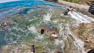 FISHING A WORLD RECORD CORAL TROUT [upl. by Eenot]