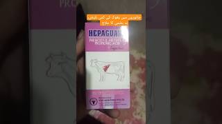 Liver tonichepatic failureindigestion constipationtympany treatment vet veterinary cow [upl. by Harp18]