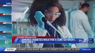 CW39 quotBreakthrough T1Dquot Walk to cure Diabetes [upl. by Jeavons]