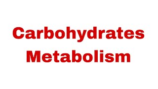 9th Biochemistry Lecture  Carbohydrates Metabolism [upl. by Terrell]