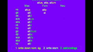 Latin 1st amp 2nd Declension Adjective altus alta altum [upl. by Dorina]