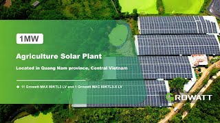 A Chicken Farm Powered by 1MW Solar Plant in Vietnam [upl. by Kristofer]