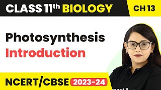 Class 11 Chapter 13  Photosynthesis Introduction  Photosynthesis in Higher Plants [upl. by Oskar514]