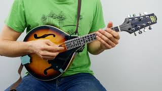 50 vs 350 vs 4500 Mandolin [upl. by Dorthea]