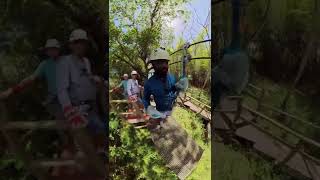 Jamaica Zipline Tour  Chukka Adventure  Falmouth Jamaica  Jamaica Tour  Royal Caribbean [upl. by Eislek]