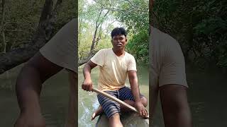 There was a snake in this treeforyou nature new shortvideo travel snake sundarban [upl. by Anrapa]