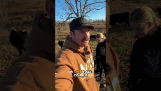 Grazing Strategies Allowing Freedom for Livestock homestead farmliving [upl. by Paxon83]