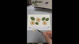 2025 Pressed Flower CalendarDIY Pressed Flower Handmade 押花月历 2月 pressed handmade plant 2025 [upl. by Aieken873]