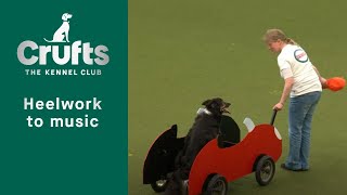 Heelwork To Music  Freestyle International Competition Part 2  Crufts 2023 [upl. by Sasha]